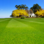 Beautiful, lush green lawn, with home well-maintained through proper watering practices.