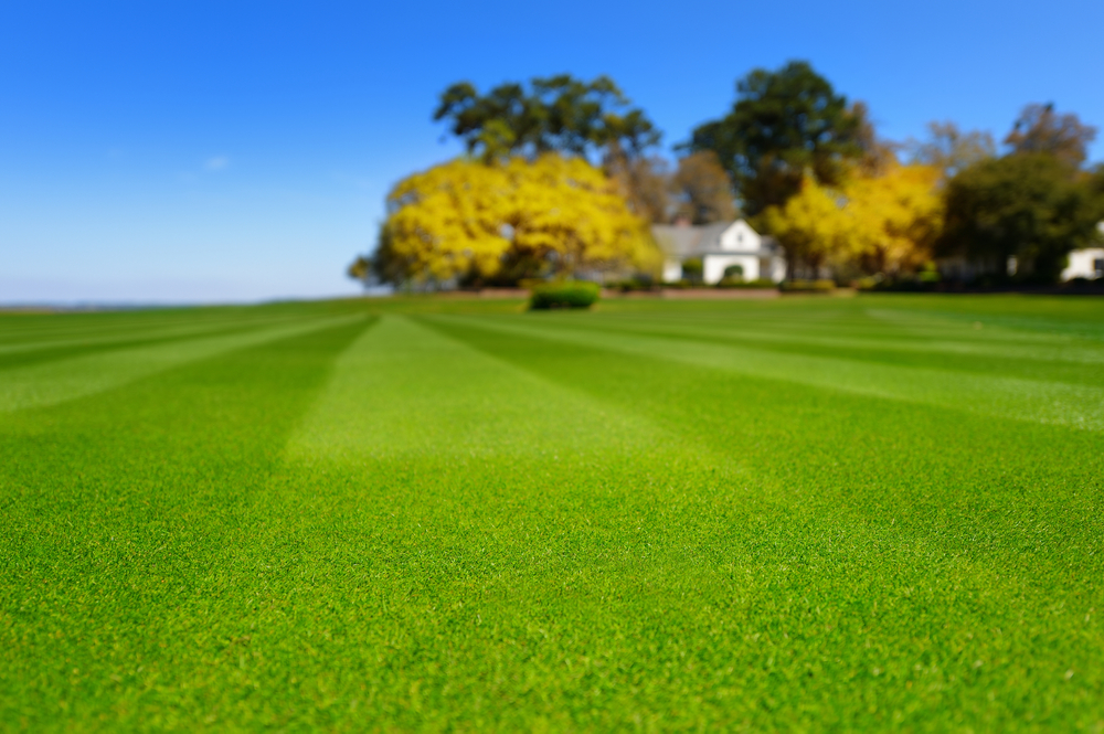 Beautiful, lush green lawn, with home well-maintained through proper watering practices.
