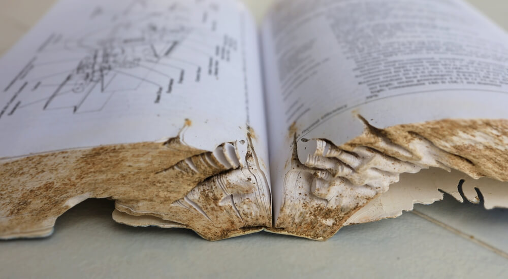 An open book with heavily damaged pages shows dirt and grooves along the edges, possibly from silverfish. The pages feature diagrams and text, suggesting it's technical or instructional. It rests on a smooth, neutral-colored surface.